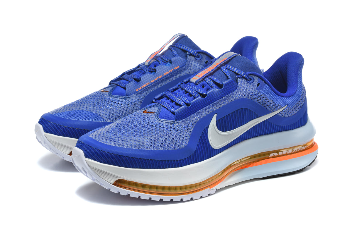 NIke Air Zoom pegasus Premium